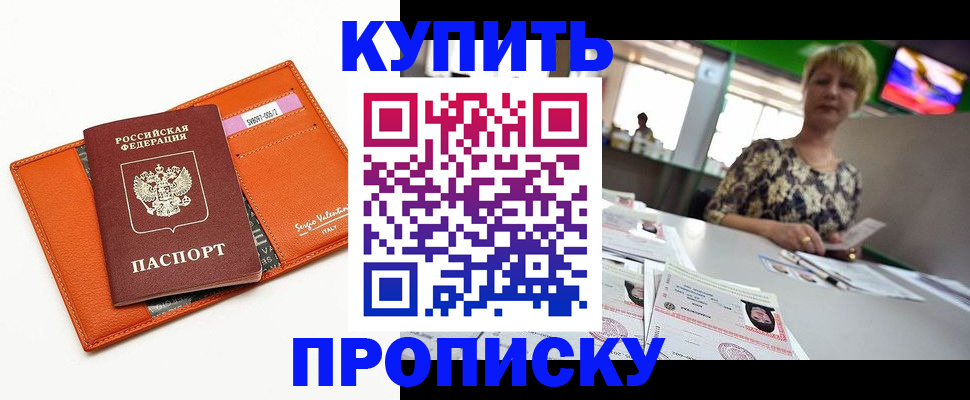 прописка поиск в Купино